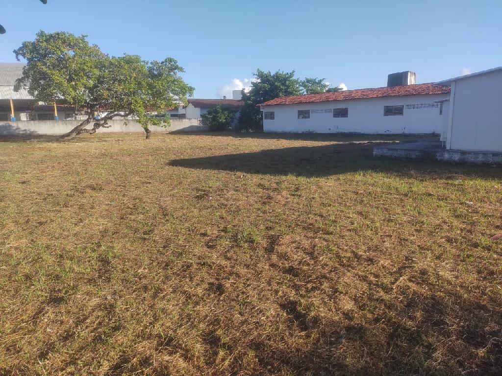 Imagem relacionada