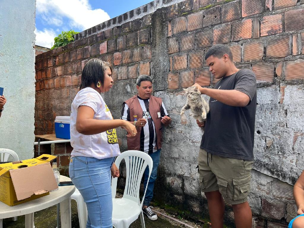 Imagem relacionada