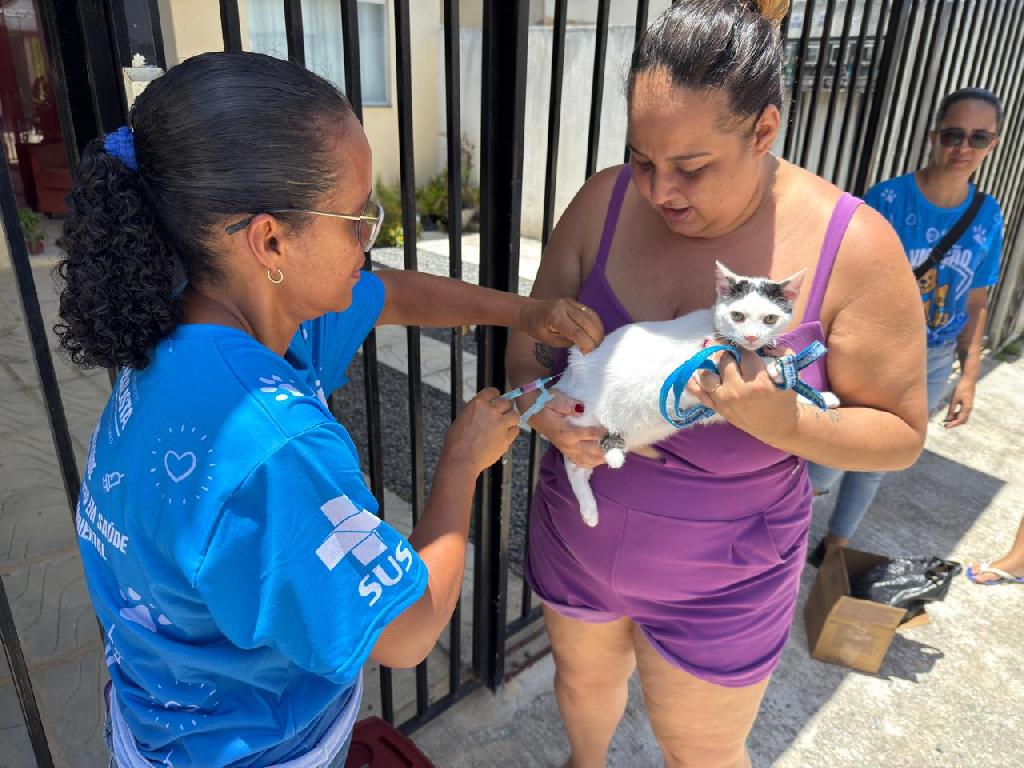 Imagem principal da notícia