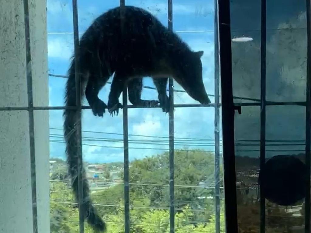 Imagem relacionada