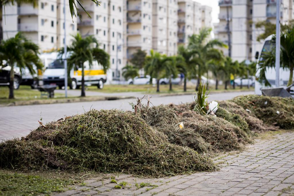 Imagem relacionada