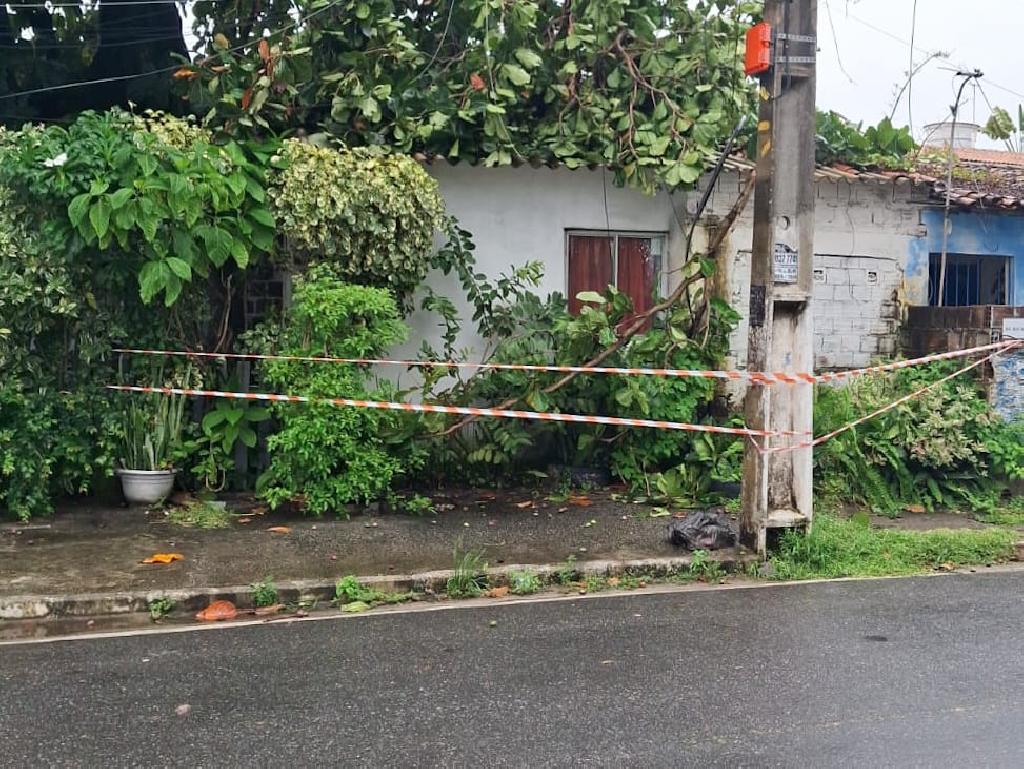 Imagem relacionada