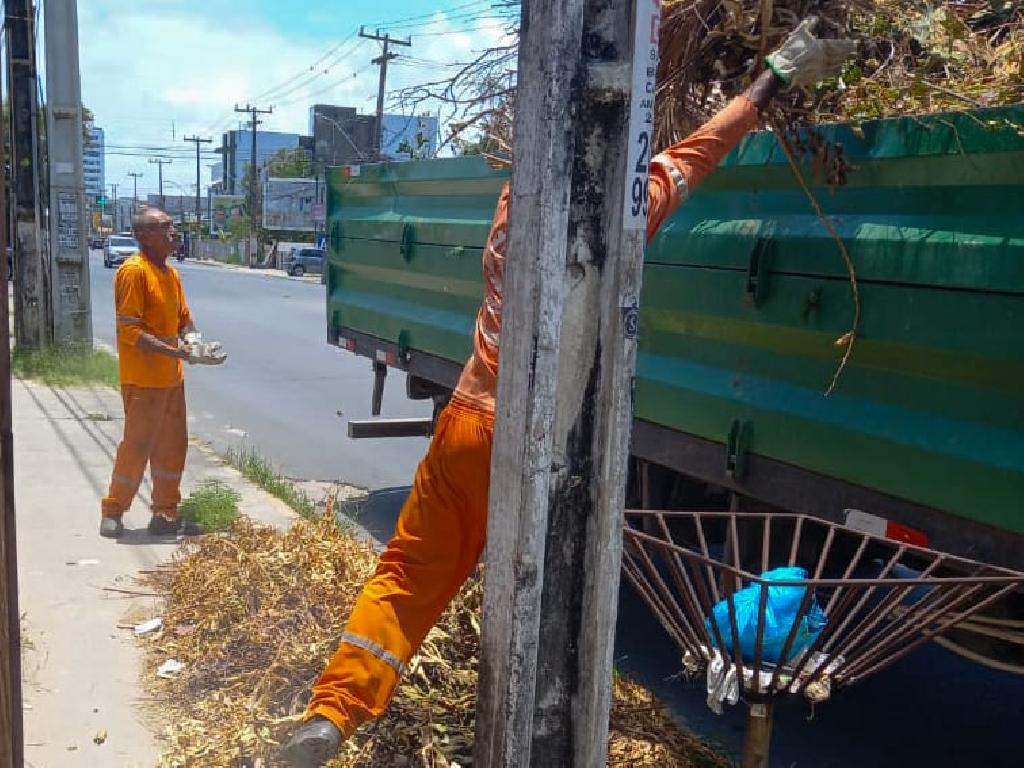 Imagem relacionada