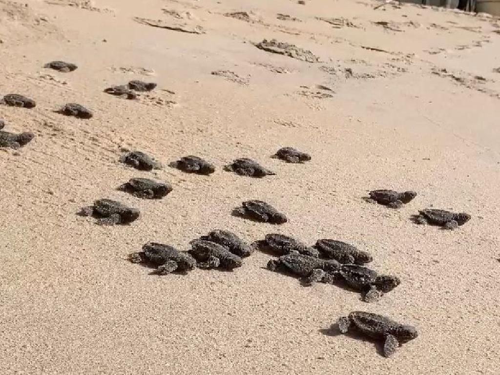 Imagem relacionada