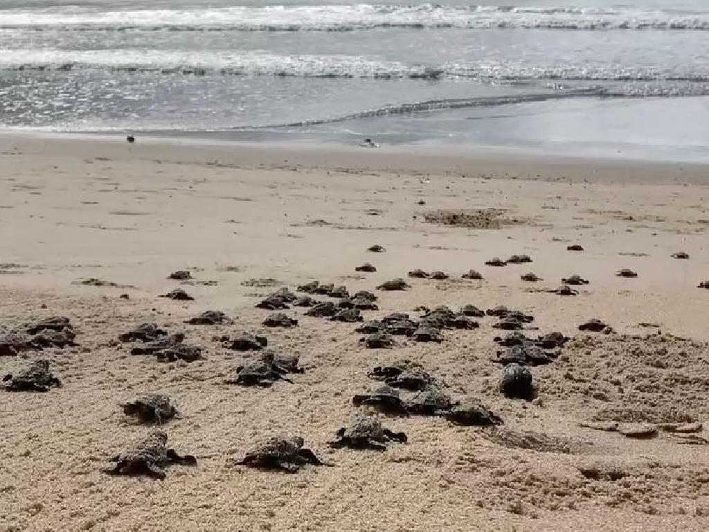 Imagem relacionada