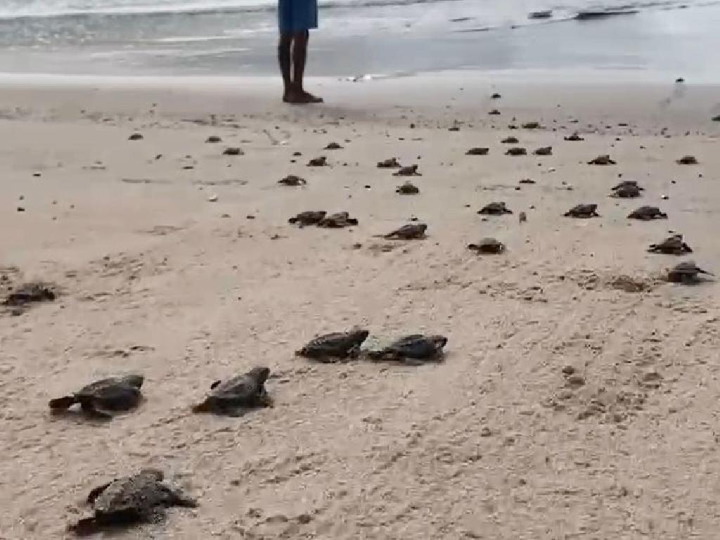 Imagem relacionada