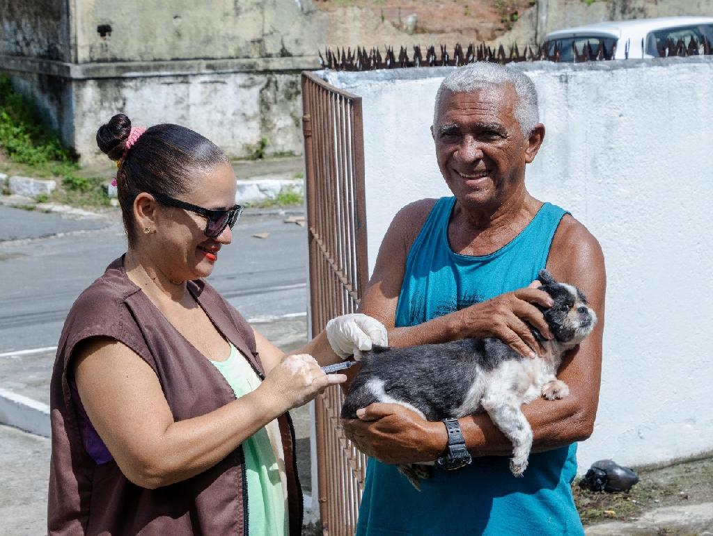Imagem relacionada
