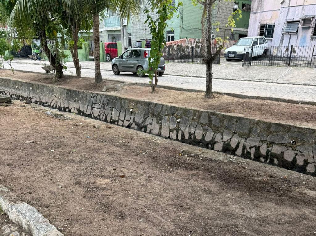 Imagem relacionada