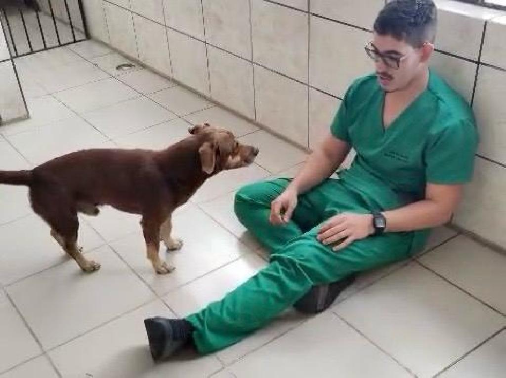 Imagem relacionada
