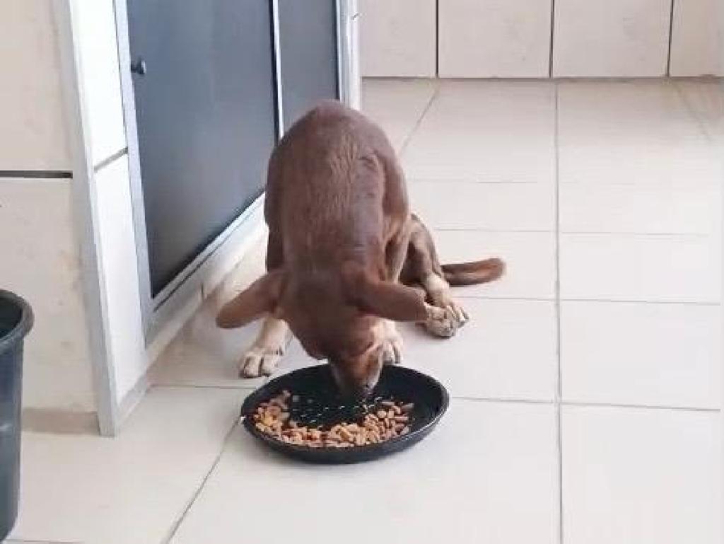 Imagem relacionada