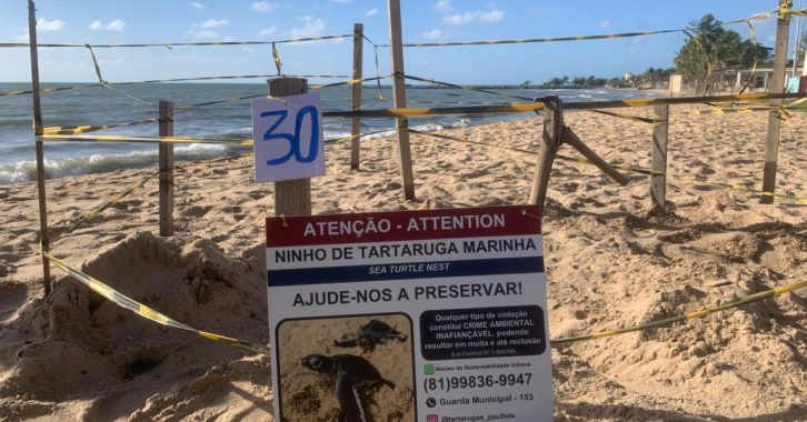Foto Ninho demarcado SEMMA Paulista