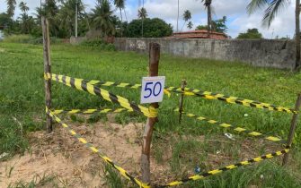 SEMMA 50 ninhos área delimitada