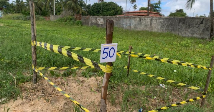 SEMMA 50 ninhos área delimitada