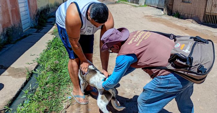 Vacinação animal 2