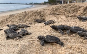 WhatsApp Image 2026-02-27 at 09.56.34 (2)