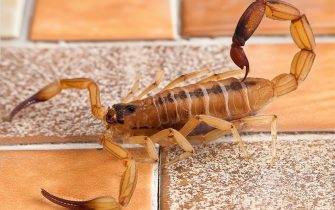 WhatsApp Image 2026-04-01 at 10.59.15