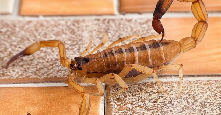 WhatsApp Image 2026-04-01 at 10.59.15