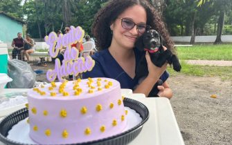 fea92553-63d9-4864-acdf-981d9afb5254